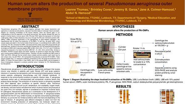 Human serum alters the production of several Pseudomonas aeruginosa outer membrane proteins.