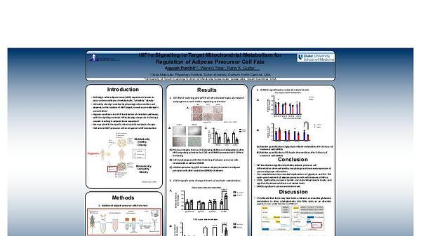 HIF1α Signaling to Target Mitochondrial Metabolism for Regulation of Adipose Precursor Cell Fate