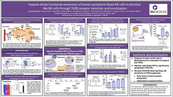 Hypoxia drives functional conversion of human peripheral blood NK cells to decidua-like NK cells through TGFβ receptor induction and sensitization