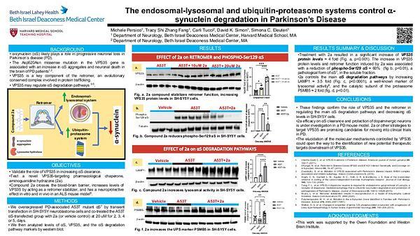 The endosomal-lysosomal and ubiquitin-proteasome systems control alpha-synuclein degradation in PD