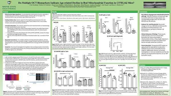 Do Multiple OCT Biomarkers Indicate Age-related Decline in Rod Mitochondrial Function in C57BL/6J Mice? 