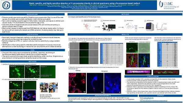 Rapid, specific, and highly sensitive detection of S. pneumoniae directly in clinical specimens using a fluorescence-based method