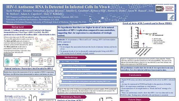 Investigation of HIV-1 Antisense Expression In Vivo