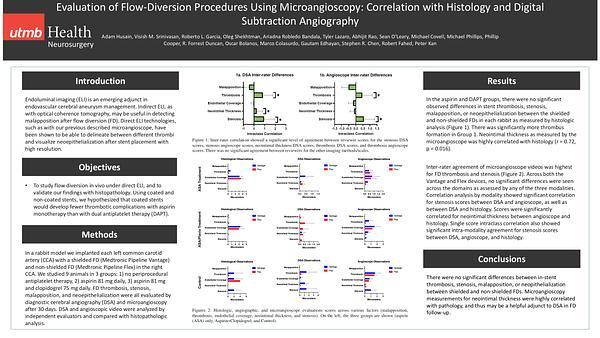 Evaluation of Flow-Diversion Procedures Using Microangioscopy: Correlation with Histology and Digital Subtraction Angiography