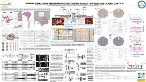 Dorsal and Ventral Cervical Epidural Electrical Stimulation Opposes Opioid-Induced Respiratory Depression via Different Respiratory Neural Circuits