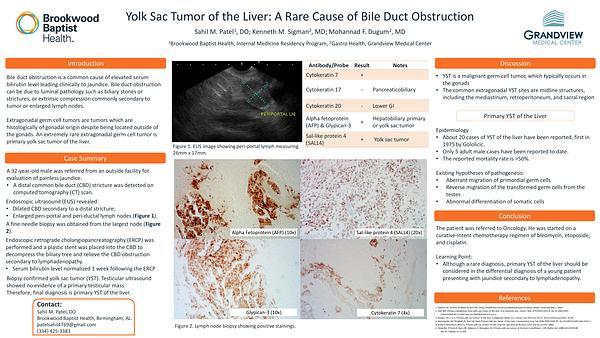 Yolk Sac Tumor of the Liver: A Rare Cause of Bile Duct Obstruction