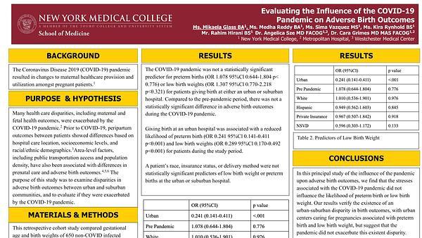 Evaluating the Influence of the COVID-19 Pandemic on Adverse Birth Outcomes