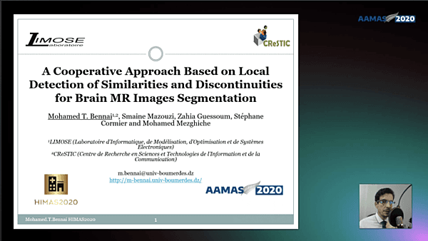 A Cooperative Approach Based on Local Detection of Similarities and Discontinuities for Brain MR Images Segmentation