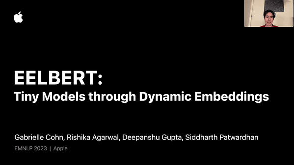EELBERT: Tiny Models through Dynamic Embeddings | VIDEO