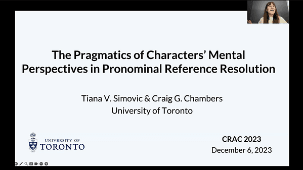 The pragmatics of characters' mental perspectives in pronominal reference resolution