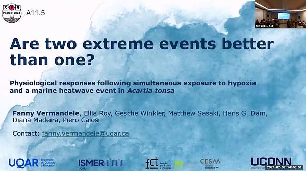 Two extreme events are better than one? Physiological responses following simultaneous exposure to hypoxia and marine heatwave in Acartia tonsa 