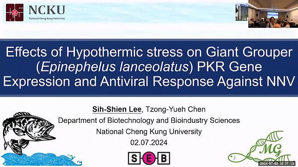 Effects of Hypothermic Stress on Giant Grouper (Epinephelus lanceolatus) PKR Gene Expression and Antiviral Response Against NNV