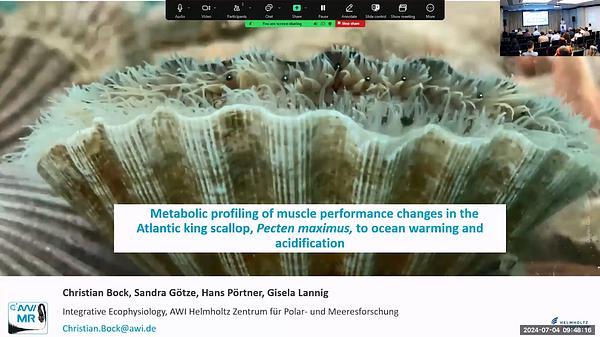 Metabolic profiling of muscle performance changes in the Atlantic king scallop, Pecten maximus, to ocean warming and acidification