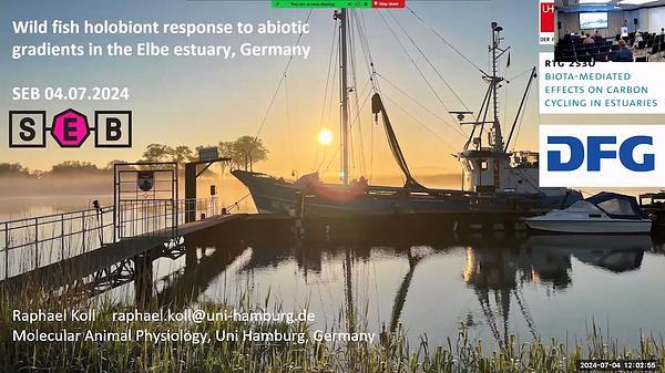 Wild fish holobiont response to abiotic gradients in the Elbe estuary