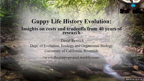 Guppy Life History Evolution - Insights on Costs and Tradeoffs Derived from 40 years of Research