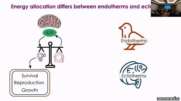 Similar challenges but different consequences: how climate change shapes metabolic strategies in endotherms and ectotherms