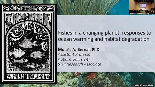 Transgenerational responses of marine fishes to ocean warming and habitat degradation 