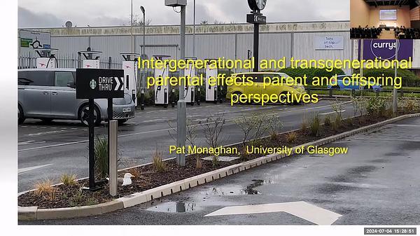 Intergenerational and transgenerational parental effects: parent and offspring perspectives