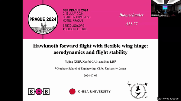 Hawkmoth forward flight with flexible wing hinge: aerodynamics and flight stability