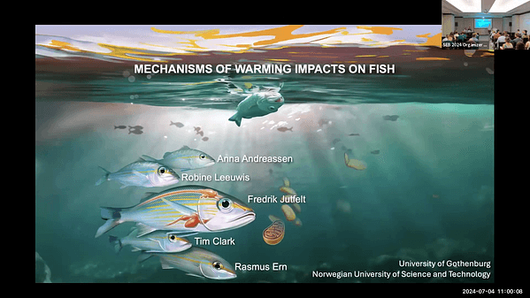 Mechanisms of climate warming impacts on fish