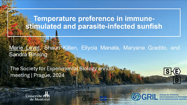 Temperature preference in immune-stimulated and parasite-infected sunfish