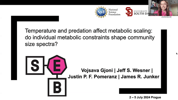 Temperature and predation affect metabolic scaling: Do individual metabolic constraints shape community size spectra?