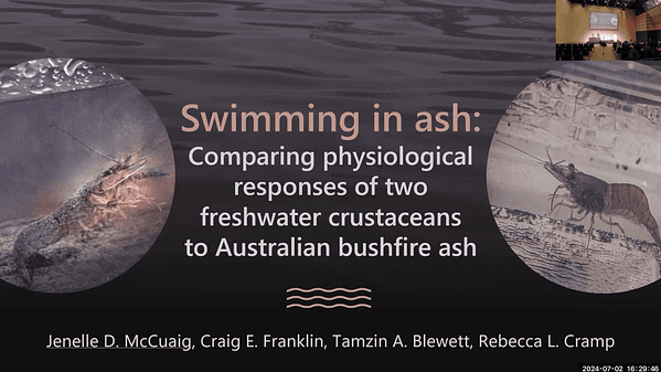 Swimming in ash: Comparing physiological responses of two freshwater crustaceans to Australian bushfire ash