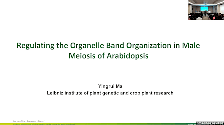 Regulating the Organelle Band Organization in Male Meiosis of Arabidopsis