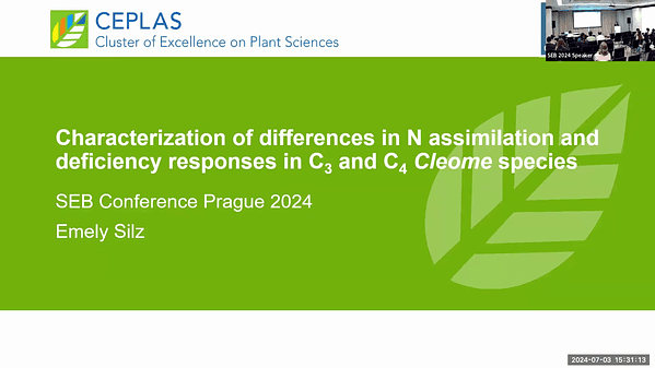 Characterization of differences in N assimilation and deficiency responses in C3 and C4Cleome species