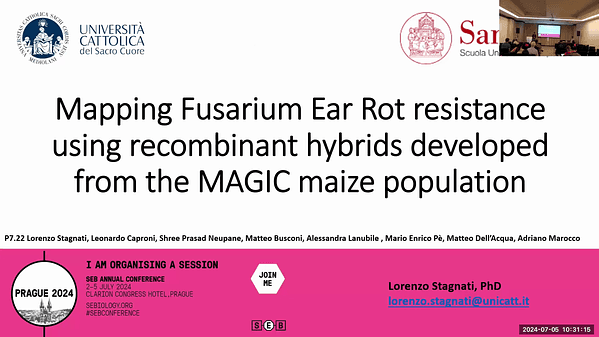 Mapping Fusarium Ear Rot resistance using recombinant hybrids developed from the MAGIC maize population