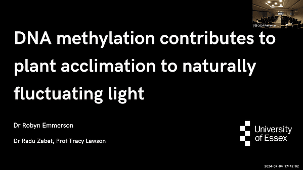 DNA methylation contributes to plant acclimation to naturally fluctuating light