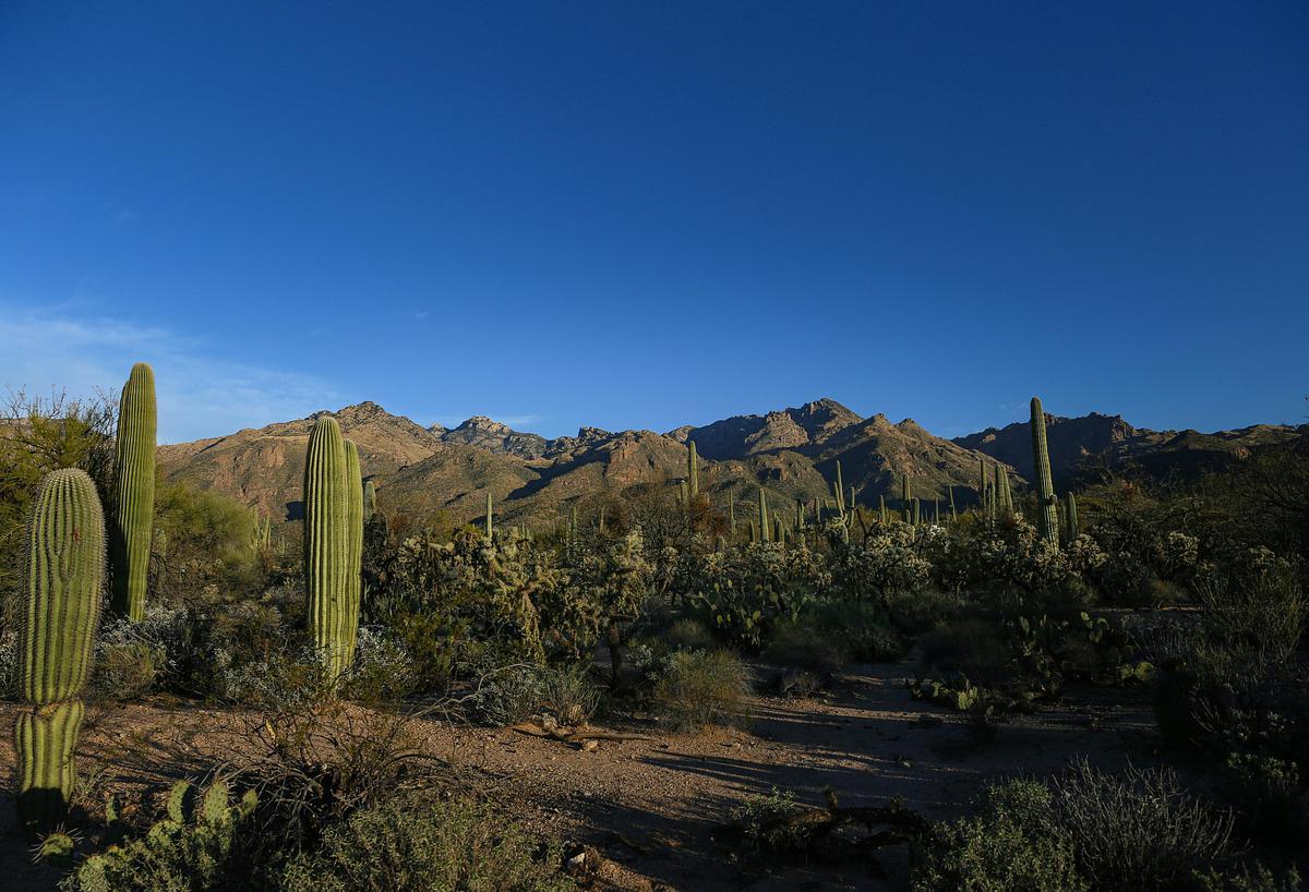 IRPS 2026 Main Conference