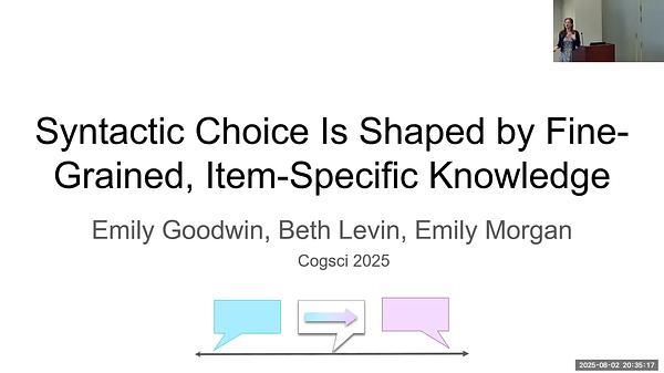 Syntactic Choice Is Shaped by Fine-Grained, Item-Specific Knowledge