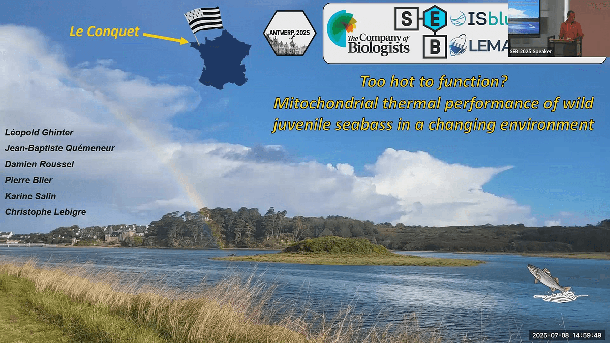 Lecture image placeholder
