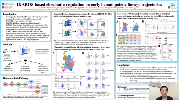 IKAROS-based chromatin regulation on early hematopoietic lineage trajectories