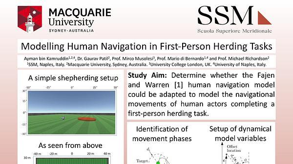 Modeling Human Navigation in First-Person Herding Tasks