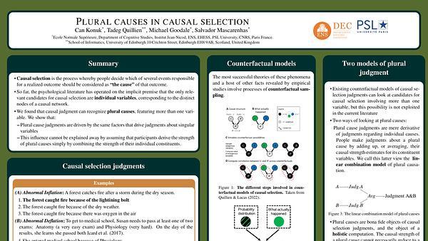 Plural causes in causal judgment