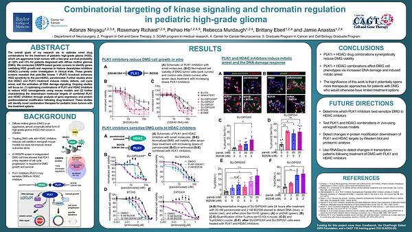 Combinatorial targeting of kinase signaling and chromatin regulation to treat pediatric high grade glioma